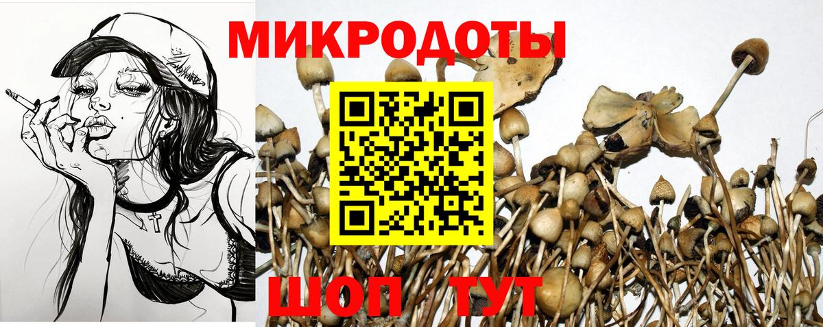 Галлюциногенные грибы Бугуруслан