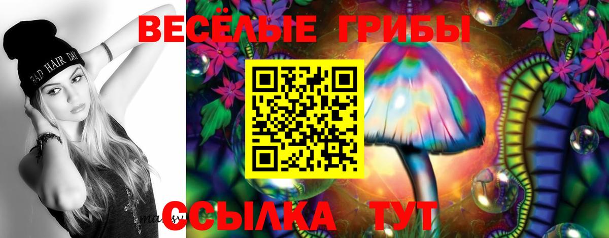 Галлюциногенные грибы Magic Shrooms Бугуруслан